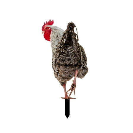 

HAFNFUE Poultry Decoration Courtyard Card Size Hen Card Decoration Courtyard Decoration Acrylic Double Printing Party Card Animal Rowsgarden Decoration Gardening Valentine s Day Cards for School