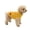 #02 Yellow, variant on Zynoxe Small Dog Sweater Warm Comfy Knit Ribbed Winter Sweaters Solid Color Turtleneck Winter Clothes