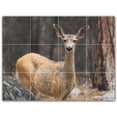 thumbnail image 1 of Picture-Tiles.com: Deer Ceramic Tile Wall Mural WAL500473-43S. 17"W x 12.75"H using (12) 4.25" x 4.25" Ceramic Tiles-Satin Finish, 1 of 3