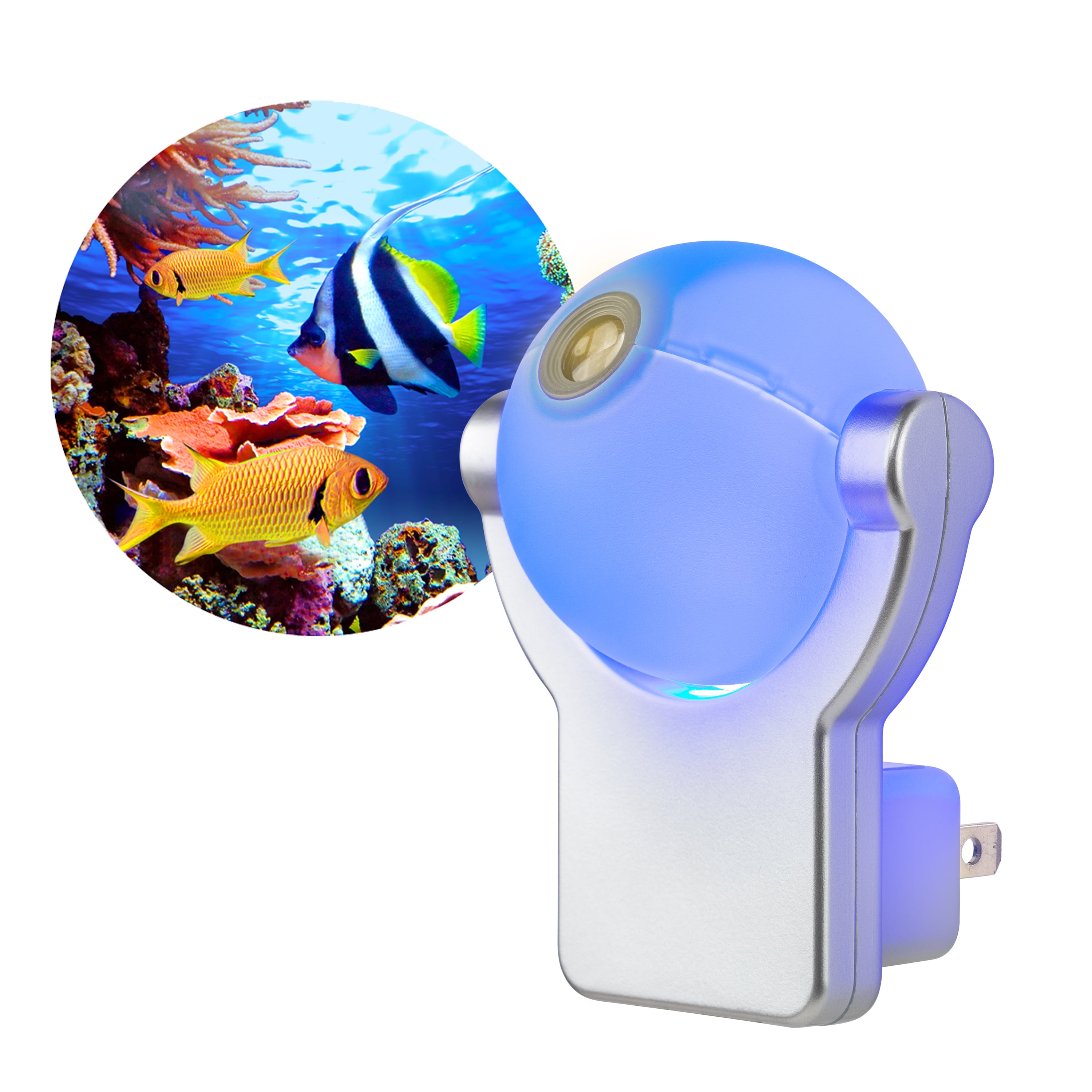 Tropical Fish