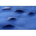 thumbnail image 2 of Grandmaison, Mike 14x11 Gold Ornate Wood Framed with Double Matting Museum Art Print Titled - Canada, Manitoba Lake Winnipeg shoreline, 2 of 4