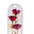 thumbnail image 3 of Enchanted Rose Flower In Glass with box Dome LED Light Valentine's Day Decor rose red, 3 of 8