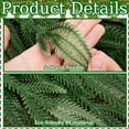 thumbnail image 3 of 2 Pcs Artificial Christmas Teardrop Swag with Berries and Pinecones, Faux Berry Pine Branch Teardrop Door Swag, Real Touch Norfolk Wreath Greenery Staircase Swags for Xmas Door Mantle Fireplace Decor, 3 of 13