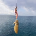 thumbnail image 3 of Señuelos Calamar Camarón Gancho Pulpo Sepia Cebo Pesca Ygjytge, 3 of 6