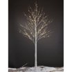 LIGHTSHARE 8ft LED Birch Tree – Warm White 132 Lights, Indoor/Outdoor Decoration For Christmas & Parties 3 thumbnail image