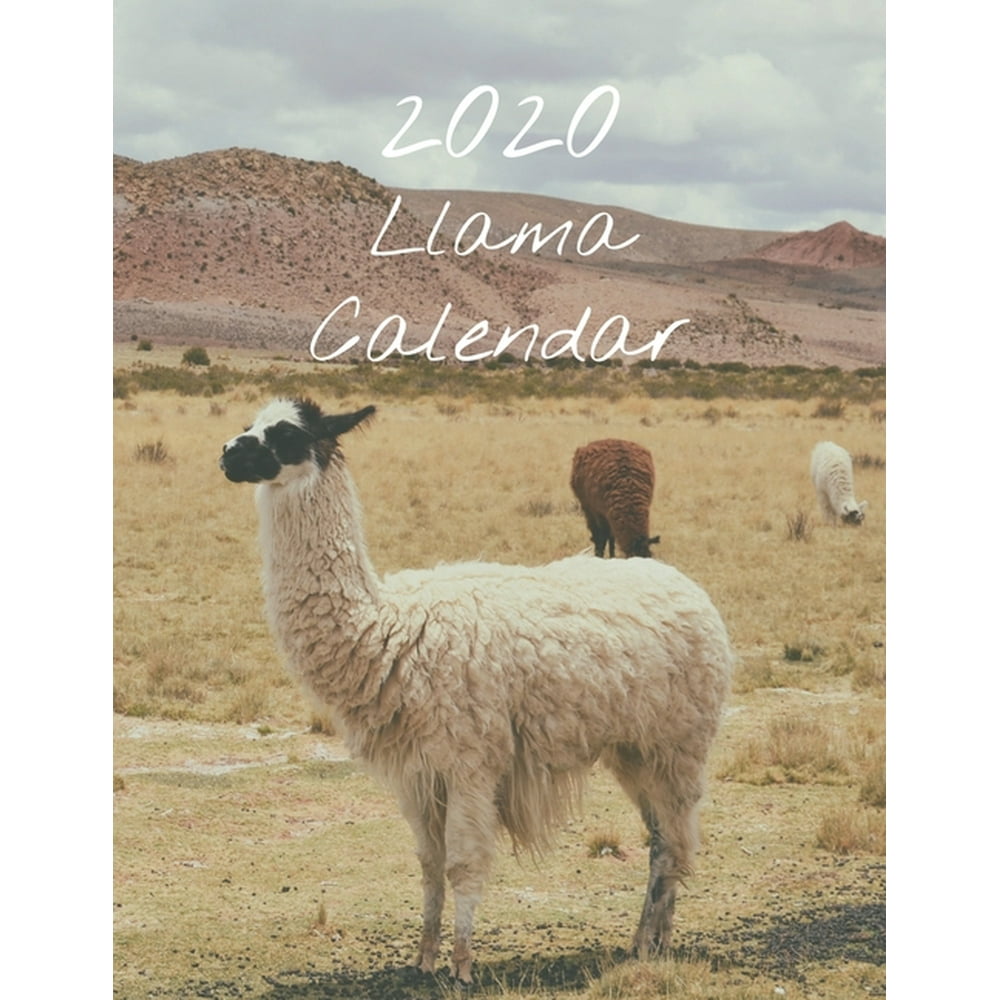 Llama Calendar 2025