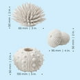 thumbnail image 4 of biOrb White Sea Urchins Set - Ceramic Aquarium Decor, 4 of 10