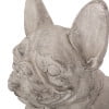 thumbnail image 4 of Noble House Delamore Outdoor French Bulldog Garden Statue in Rustic White/ Green, 4 of 6