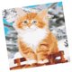 thumbnail image 4 of Kit de bricoje Pintura al por números Dibujo con pinceles Decoración sin marco para principiantes - 40 * 50cm - Gato color BLESIY Pintura por kits de los números, 4 of 8