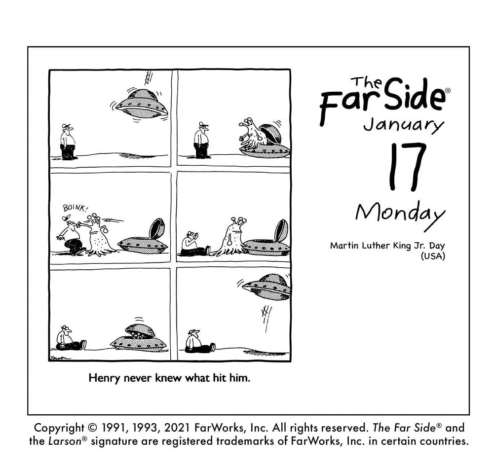 The Far Side® 2022 Wall Calendar 