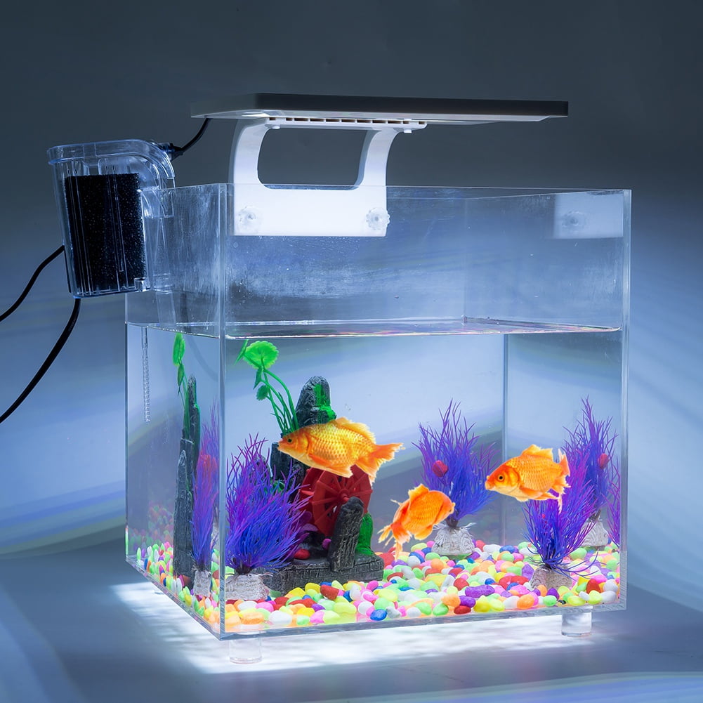 dream aquarium fish tanks dream aquarium fish tanks
