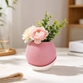 thumbnail image 6 of Woven Textured Two-Tone Small Flower Pot Decorative Bonsai Planter With Saucer For Living Room Home Desk, 6 of 6