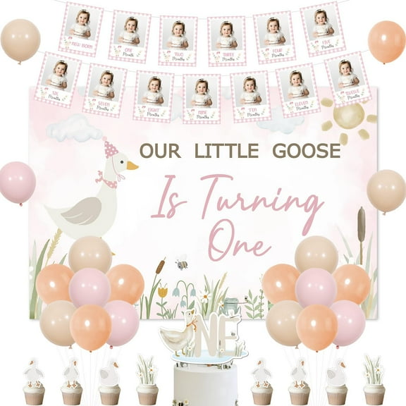 Goose 1st Birthday Party Decor Silly Goose Birthday Cake Toppers Our Little Goose is Turning One Backdrop Photo Banner from Newborn to 12 Months Pink Balloons for Girl First Birthday Party