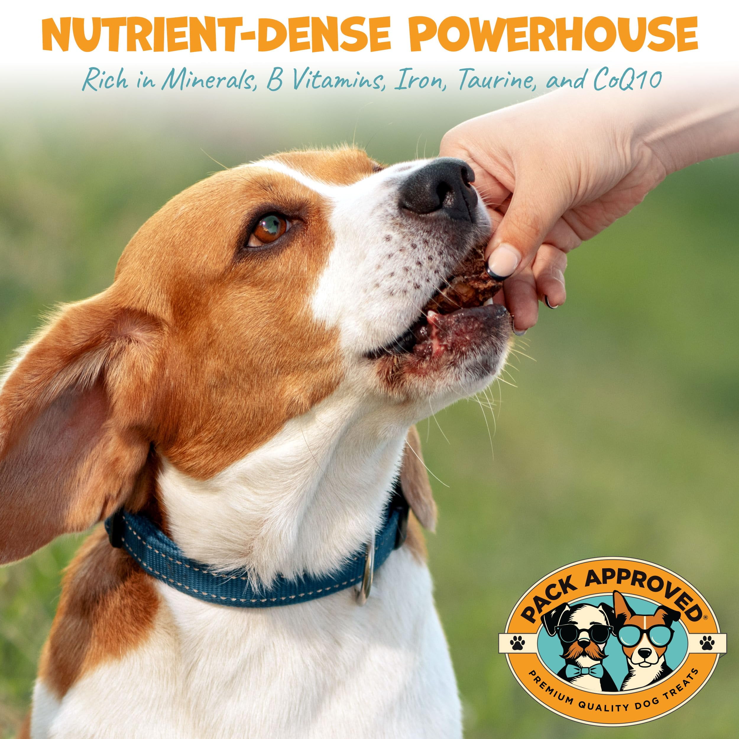 Pack Approved Beef Heart for Dogs - Dehydrated Beef Jerky Dog Treats - Single Ingredient Treat for Training or Reward - 100% Natural Treats - 3.5oz