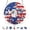 C, variant on 4th of July Garden Stakes Patriotic 2D Flat Ground Insertion Yard Decor Outdoor Metal Small Garden Stake for Lawn Flower Bed