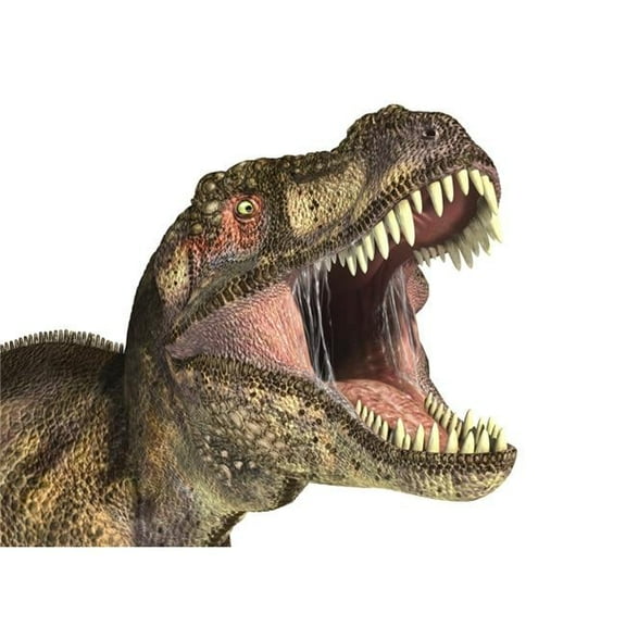 Close-Up of Tyrannosaurus Rex Dinosaur with Mouth Open Poster Print, 16 x 12