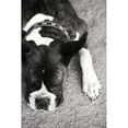 thumbnail image 3 of Millet, Karyn 11x14 Black Modern Framed Museum Art Print Titled - Boxer, 3 of 5
