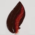 thumbnail image 2 of Rembrandt Artists' Oil Color, 40ml, Transparent Oxide Red, 2 of 5