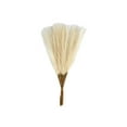 thumbnail image 2 of 30Pcs Artificial Pampas Grass Artificial Flower Bathroom Plant Decoration for Baby Showers Wedding Thanksgiving Holiday, 2 of 11