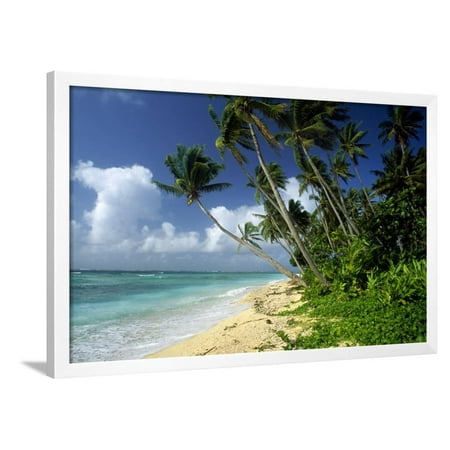 Fiji One of the Best Shelling Beaches in the World Framed Print Wall (Best Shelling Beaches In The World)
