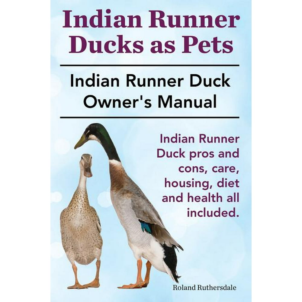 Indian Runner Ducks as Pets. Indian Runner Duck Pros and Cons, Care