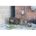thumbnail image 2 of Tru Catch Traps Gravity Locking 2-Door Live Animal Trap Mesh, 2 of 5
