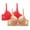 Womens Bras Beige, variant on Womens Everyday Bras, Women's 2pcs Sexy Lace Bra Sheer Balconette Underwire Unlined Push Up Everyday Bras Lingerie S-4XL