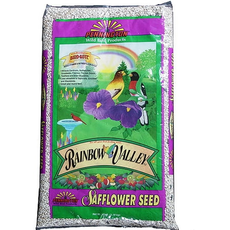 Pennington Safflower Seed Wild Bird Feed, 7 lbs