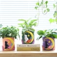 thumbnail image 4 of GUGUGO Moon Cat Cute Flower Pots, Unique Rainbow Planter with Drainage, Vintage Retro Colorful Flower Plant pots for Indoor Plants, Eclectic Succulent Gardening Pot for Home Décor (A, Purple, 5Inch), 4 of 4