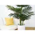 thumbnail image 4 of Orchid & Succulent Garden with White Wash Planter, 4 of 5