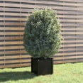 thumbnail image 3 of vidaXL Garden Planter Black 15.7"x15.7"x15.7" Solid Wood Pine, 3 of 58