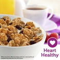 thumbnail image 3 of Kellogg's Raisin Bran Breakfast Cereal, Family Breakfast, Fiber Cereal, Family Size, Original, 24oz Box (1 Box), 3 of 15