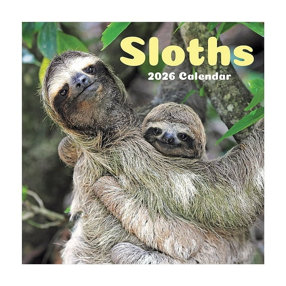 2026 TF Publishing Sloths 12" x 12" Monthly Wall Calendar (26-1045)
