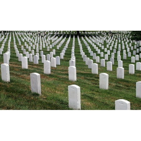 LAMINATED POSTER Grave Stones Washington Cemetery Arlington Poster Print 24 x 36