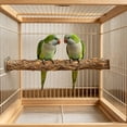 thumbnail image 4 of Outdor Bird Stand Natural Wooden Parrot Stand Grinding Fork Chewing Stick Exercise Training Branches For, 4 of 6