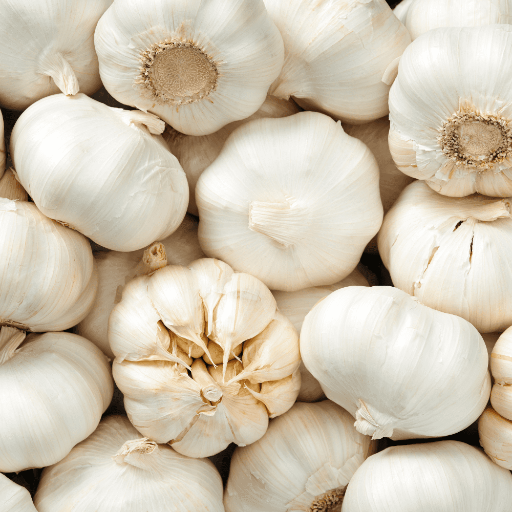 0.5Lb Mix Garlic Bulbs for Planting, Assorted Heirloom Garlic Bulbs, Hardy Garlic Buls for Container and Outdoor Garden
