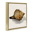 thumbnail image 4 of Stupell Industries Conch Shell on Beige Nautical & Beach Painting Gold Floater Framed Canvas Art Print Wall Art, 18 x 18, 4 of 10