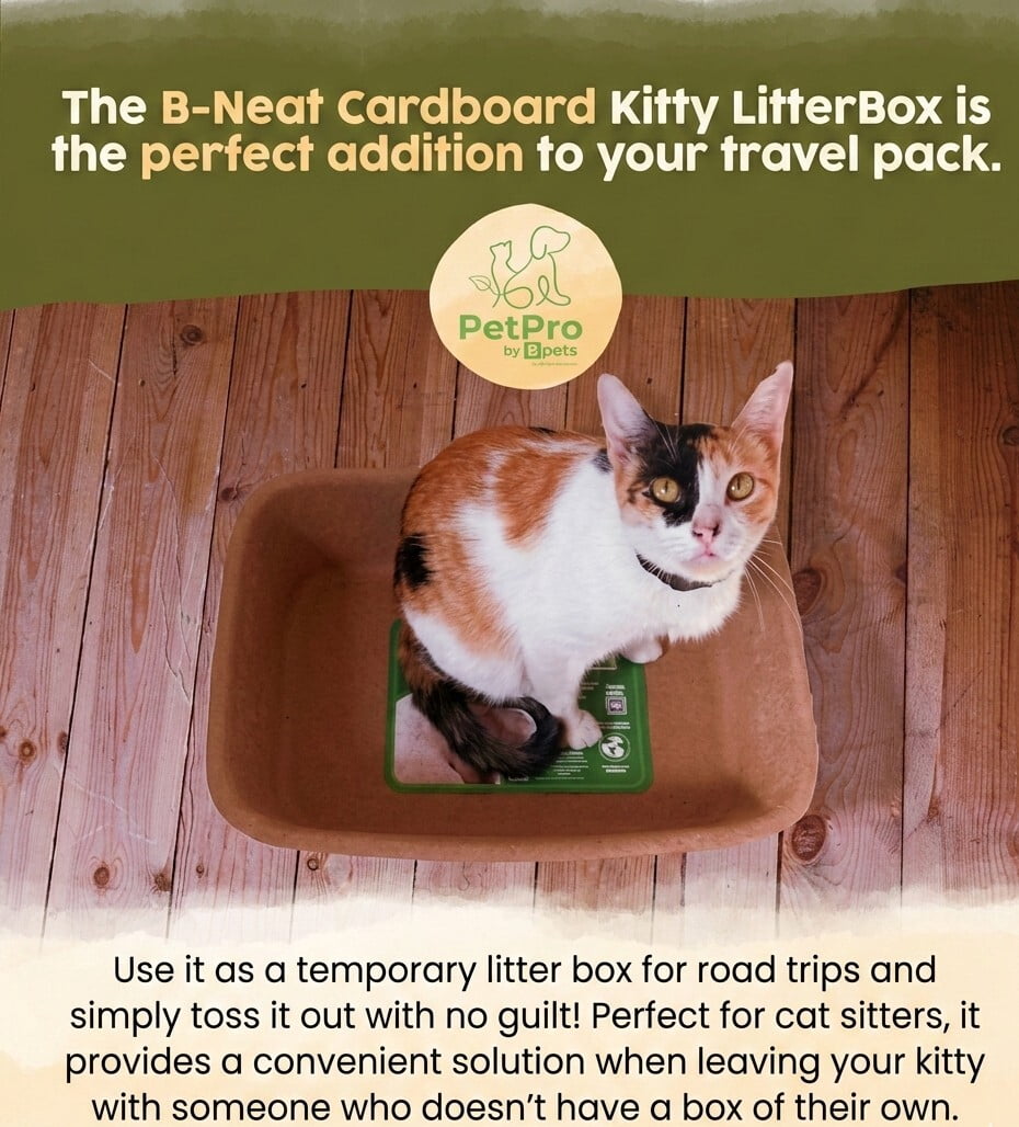 Word Travel - Friendly Disposable Cat Litter Box - 5 Pack Small Molded Pulp Single Use Easy Clean.