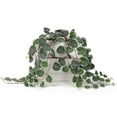 thumbnail image 4 of 16'' Ceropegia Woodii Green string of hearts Fake Hanging Plants Artificial Succulent Plants in Ceramic Pot, 4 of 8