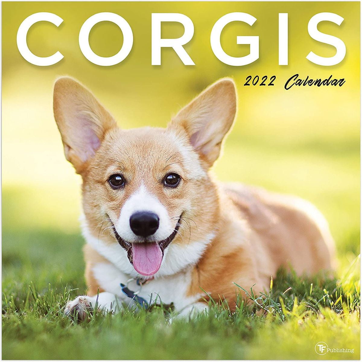 Corgi Puppy Christmas Countdown 2022 Corgi 2022 - 2023 Dog Monthly Wall Calendar, 16 Month Large Grid, Cute  Animals Pet Theme, 12 X 12 In - Walmart.com