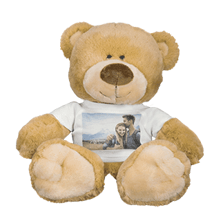 Photo Teddy Bear (Best Large Teddy Bears)