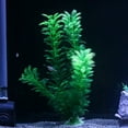 thumbnail image 4 of UDIYO Aquarium Decorative Plastic Grass Water Plants Fish Tank Landscaping Ornaments, 4 of 7