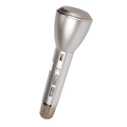 Sing-along Bluetooth Wireless Karaoke Microphone and Speaker (Silver)