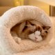thumbnail image 3 of Túnel para Gatos Saco Dormir Felpa Suave Cachorros Y Gatitos Interior, 3 of 9