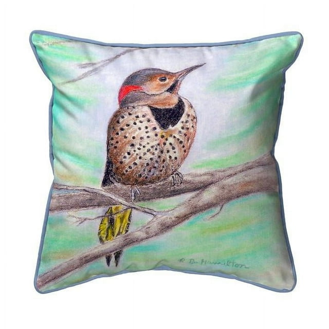 Betsy Drake SN514 12 x 12 Pouces Scintillement Petit Oreiller Intérieur et Extérieur