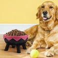 thumbnail image 4 of FESTFENDS Comedero Para Perros Y Con Elevado Que Mantiene Y Derrames, 4 of 8