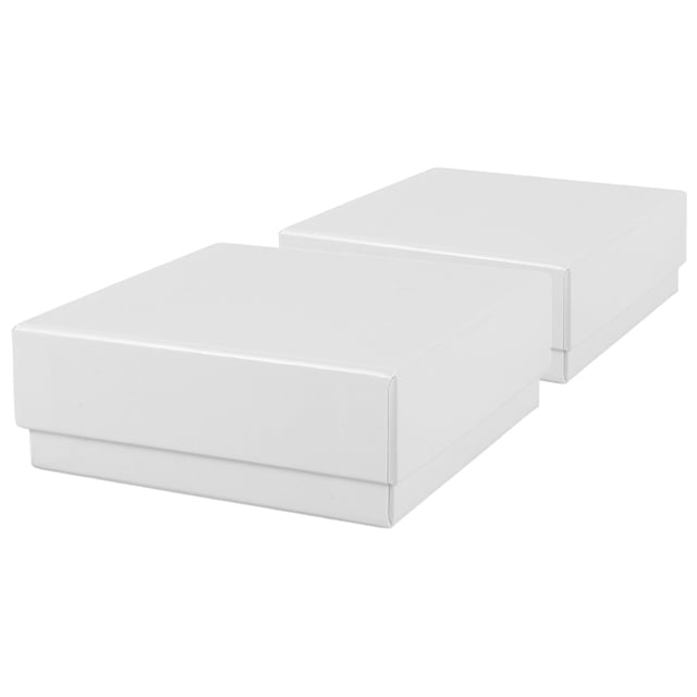 KAKOWELY box with lid 2 Pcs Multi-Functional Paper Sample Storage Boxes with Lid for Laboratory Use Freezer Boxes for Centrifuge Tubes Convenient Cryogenic Storage Bins