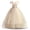 Champagne, variant on Flower Girls Dresses Big Girls off Shoulder Embroidered Puffy Dress Piano Costume Wedding Bridesmaid Princess Long Full Dress, Sizes 5-13Y