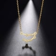 thumbnail image 2 of Starchenie 18K Gold Plated 12 Constellation Capricorn Necklace Zodiac Necklace Jewelry for Women and Men, 2 of 7