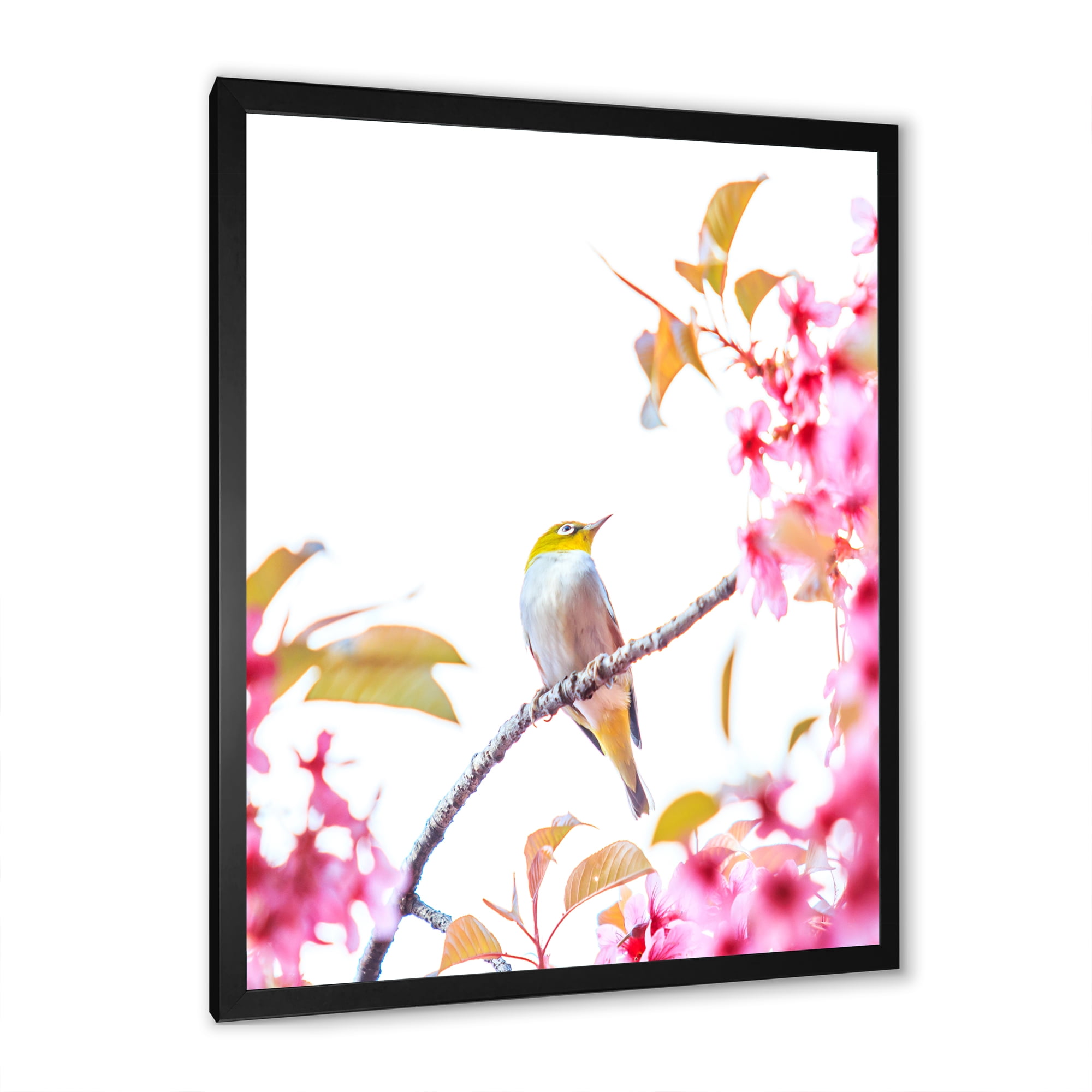Designart 'Bird Sitting On Cherry Blossom' Traditional Framed Art Print